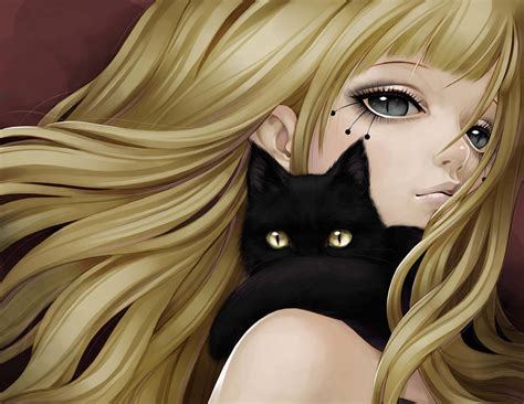 Anime Cat Wallpapers Wallpapers Com