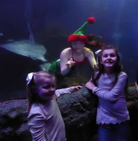Meeting The Mermaids At The Trafford Centre Sealife Place Keith