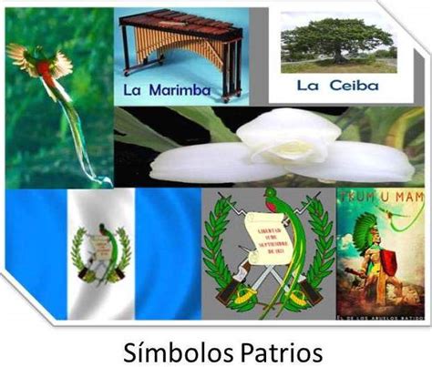 Imágenes De Los Símbolos Patrios De Guatemala Descargar Imágenes Gratis