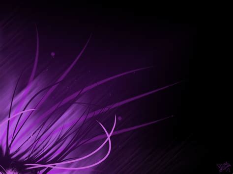 Free Download Purple Backgrounds New Collections Purple Wallpapers Hd