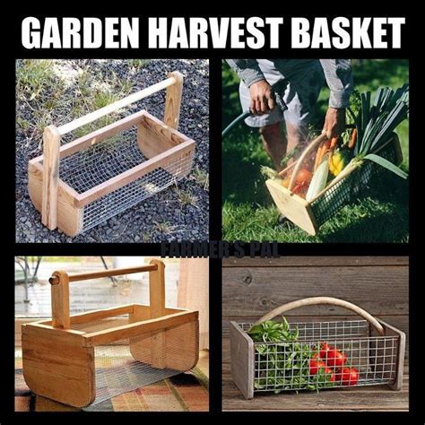 Cute Idea Harvest Basket Garden Boxes Diy Garden Harvest