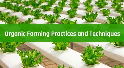 Organic Farming Practices And Techniques Healthtostyle