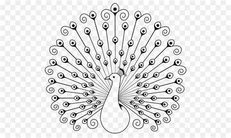 Pavo Real, Dibujo, Libro Para Colorear imagen png imagen transparente