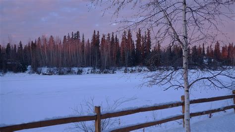 Chena River Fairbanks Alaska Behind The Princess Lodge H Flickr