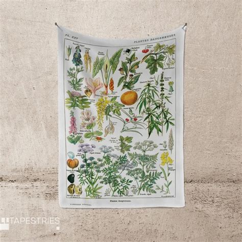 Vintage Botanical Print Mushrooms Science Champignons Tapestry Etsy
