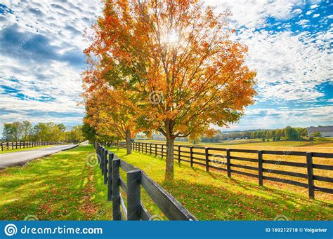 Beautiful Autumn Country Landscape With Road Colorful Tree And