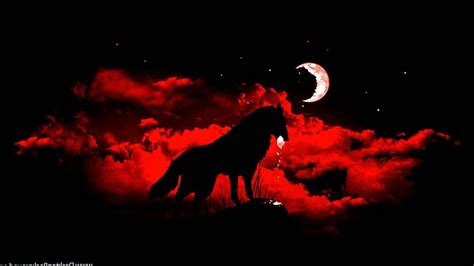 Blood Wolf Wallpapers Hd Wolf Wallpaperspro