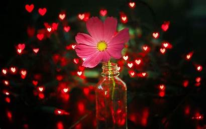 Flower Hearts Pink Lights Flowers Jar Artistic