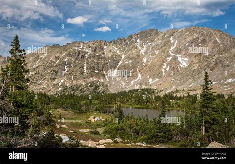 Rugged Mountain Ridgeline On A Bright Sunny Day With Pine Trees And An
