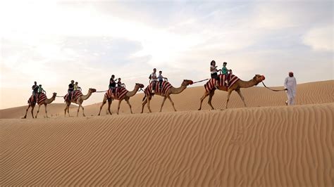 Tickets To Dubai Morning Desert Safari Dune Bashing Sand Boarding