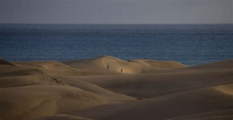 El Rechinado De Catre El Sexo En La Playa Est Da Ando Seriamente La Reserva De Dunas En Espa A