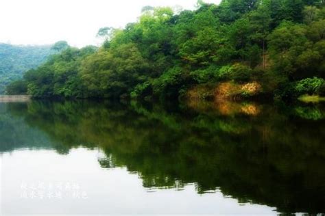 The site owner hides the web page description. 流水響水塘 - 粉嶺郊遊 ,流水響水塘, 郊遊, 水塘, 自然風光 - SeeWide 香港特搜
