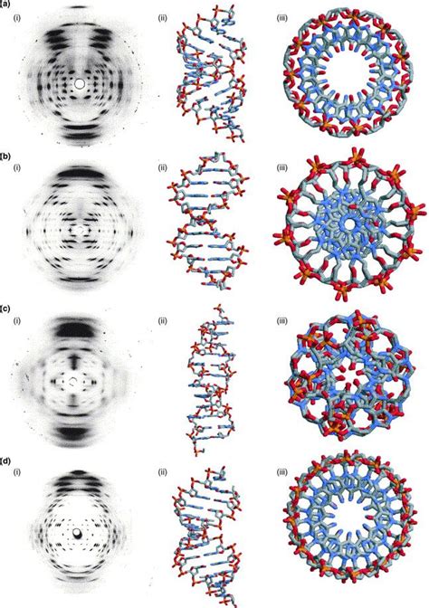 X Ray Diffraction Patterns And Dna Structures Geometry In Nature