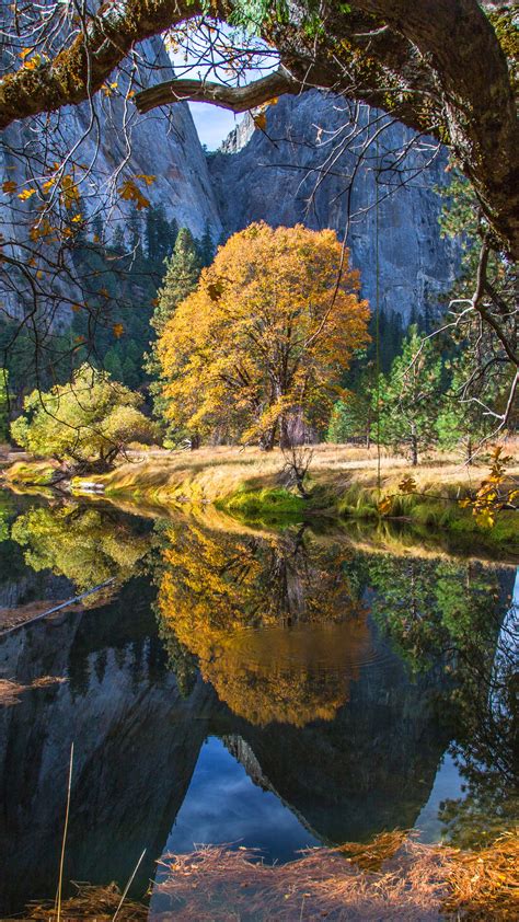 Wallpaper Yosemite 5k 4k Wallpaper 8k Forest Osx