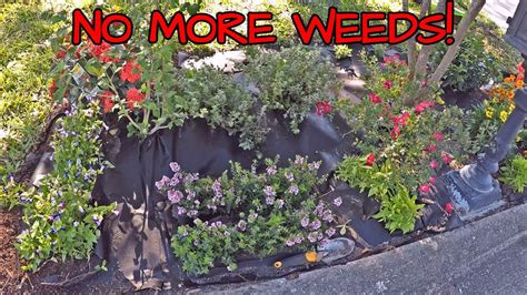 If you're looking for a weed barrier for a small vegetable patch or flower bed, originline's fabric. How To Install Weed Barrier Fabric [Flarmor Landscape ...