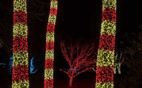 Gallery Tree Wrap And Focal Tree Lighting Nashville Christmas Lights
