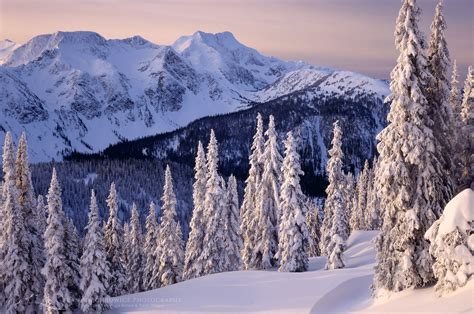 Cariboo Mountains In Winter Wells Grey Provincial Park Alan Majchrowicz