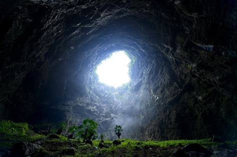 Giant Forest Sinkhole Discovered By Cave Explorers In China