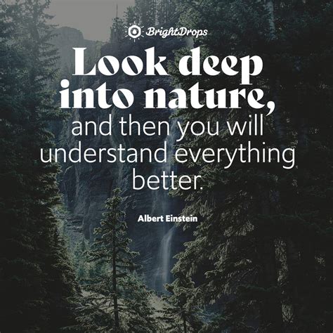 50 The Best Short Quotes Nature With Pics And Phrases