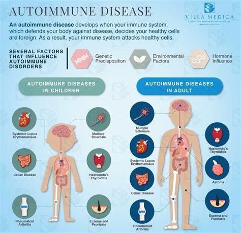 What Are Autoimmune Disorders Autoimmune Disease Occurs When Body
