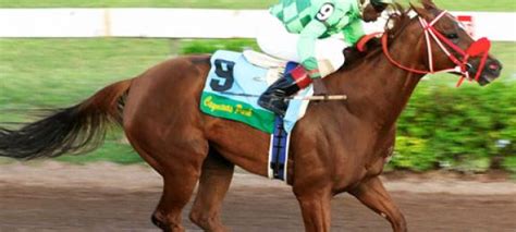 Welcome to equibase.com, your official source for horse racing results, mobile racing data, statistics as well as all other horse racing and thoroughbred racing information. Spanish Town and St. Catherine | Moon Jamaica