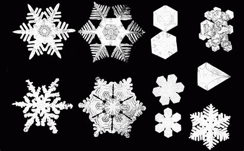 File:PSM V53 D092 Various snow crystal forms.png - Wikimedia Commons