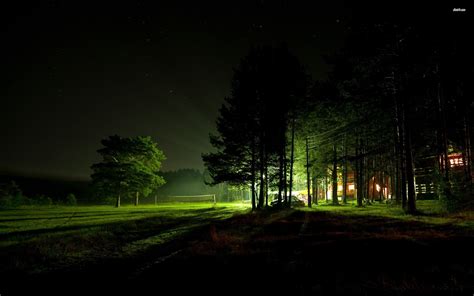 Download Forest Night Wallpaper Gallery