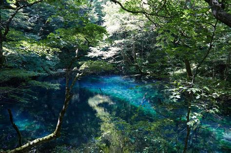 Natural Environment Japan Educational Travel