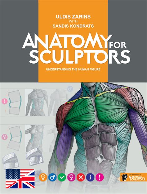 Anatomy For Sculptors Understanding The Human Figure Pdf E Book