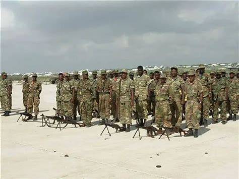 Ethiopia Ethiopian Army Defence Force Ranks Military Pattern Camouflage