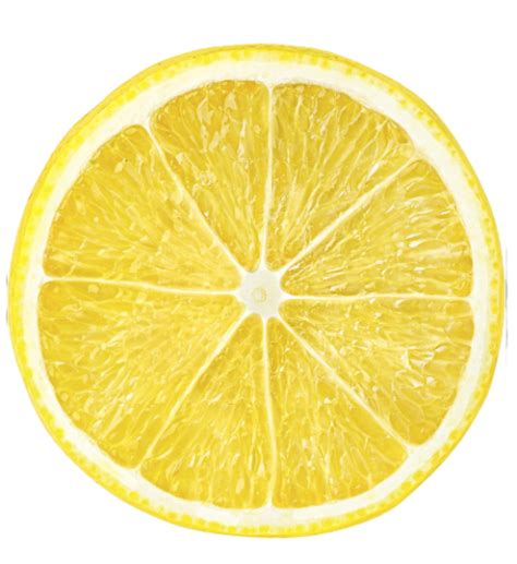 Slice Of Lemon Png Photo 585 Free Png Download Image Png Archive