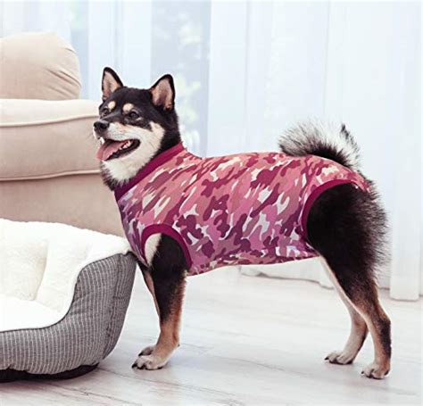 Best Puppy Onesies 8 Cute Useful And Practical Puppy Onesies