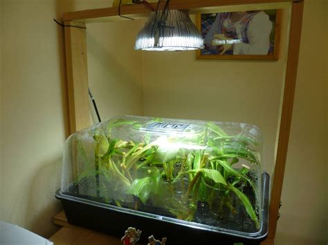 Well, in simple terms humidity level refers to how much water molecules the air is retaining in a percentage form to the whole air molecules. How much light and humidity should I have when propagating ...