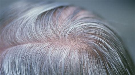 Grey Hair Gene Discovered By Scientists Bbc News