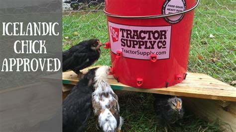 Learn how to make a chicken waterer using a 5 gallon bucket. DIY 5~Gallon AutoMatic Chicken Waterer (Using Horizontal Waterers) - YouTube