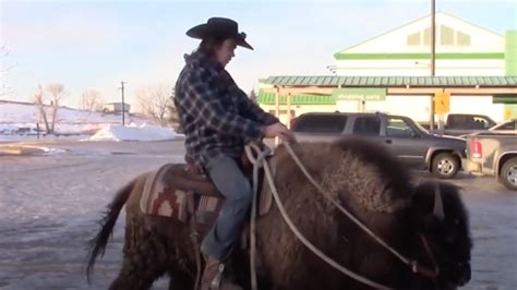 Alberta Man Rides Bison To Grocery Store