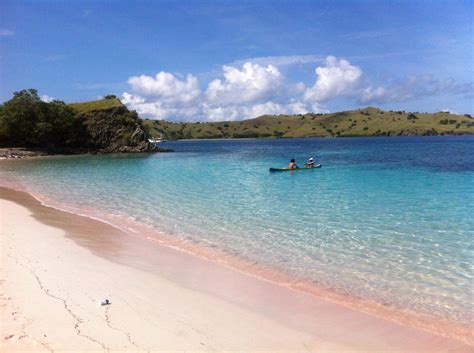 The Pink Beach Of Komodo National Park Azul Unlimited