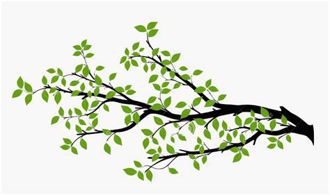 Branch Tree Drawing Royalty Free Tree Branch Vector Png Transparent