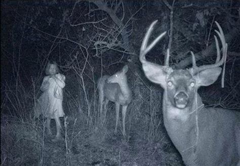 Many claim that these images are real proof of ghosts, while others refuse to believe. 10 Scary Trail Camera Photos