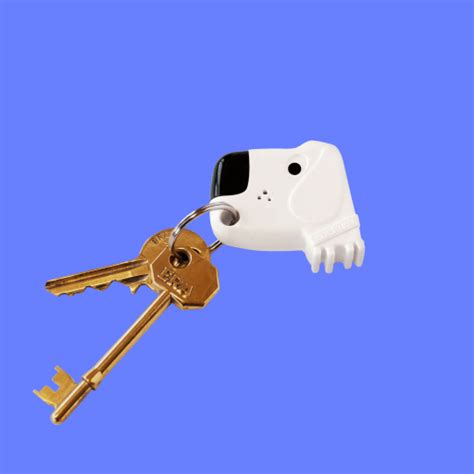 Fetch My Keys Keyring —