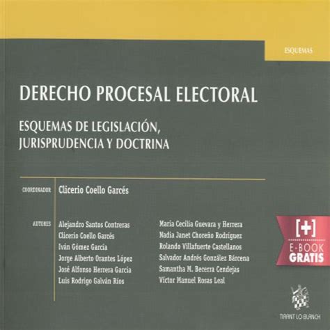 Derecho Procesal Electoral Esquemas De Legislacion Jurisprudencia Y