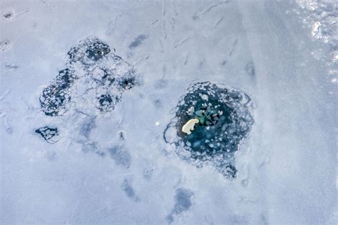 Florian Ledoux The Icy Patience Of An Arctic Photographer Cnn
