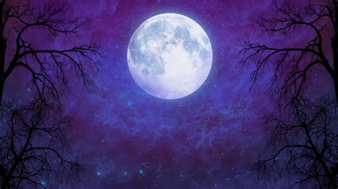 Moon Full Moon Night Night Sky Starry Silhouette Star