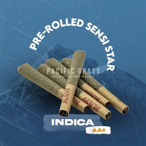 Buy Pre Rolled Sensi Star Online In Canada Pacific Grass