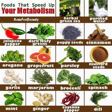 And, get this, that means you'll get to eat more of them. How To Increase Metabolism Rate Fast To Lose Weight ...