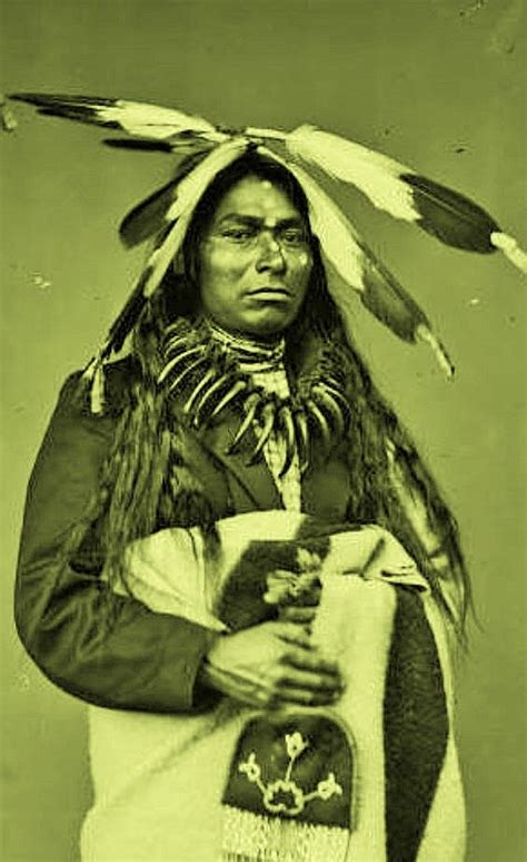 Chippewa Man Native American Peoples Indigenous North Americans