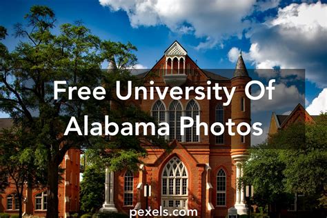 100 Amazing University Of Alabama Photos Pexels · Free Stock Photos