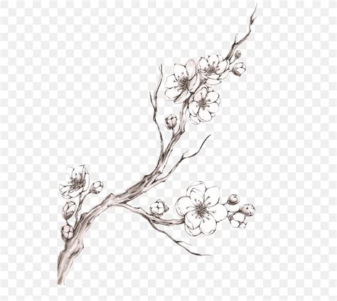 Cherry Blossom Tattoo Drawing Png 540x733px Cherry Blossom Art