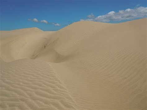 Sand Dunes Desert Free Photo On Pixabay Pixabay