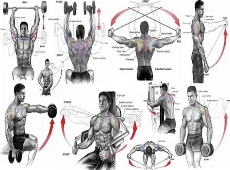 6 Best Shoulder Workouts For Mass ~
